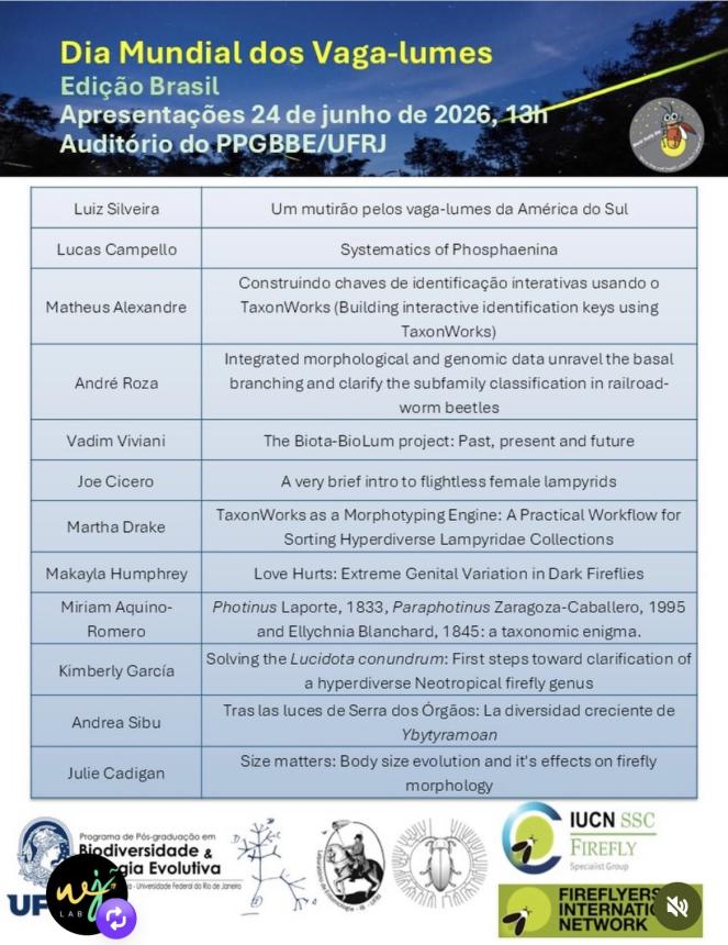 program